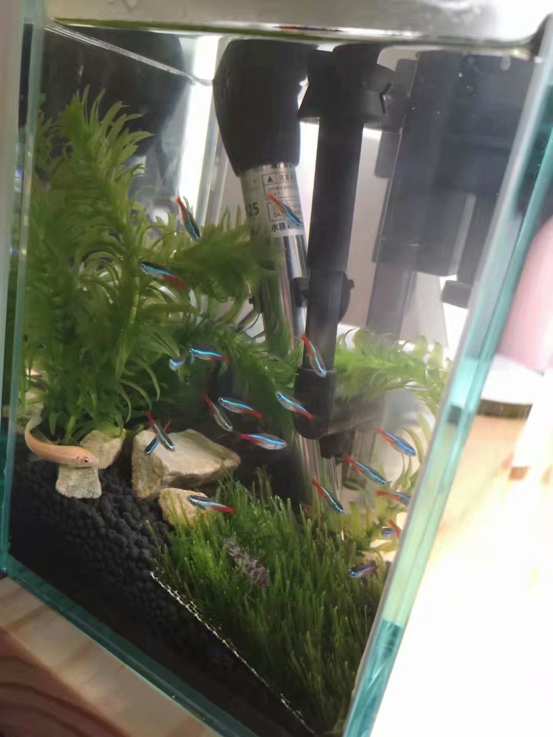 06_看图王.jpg